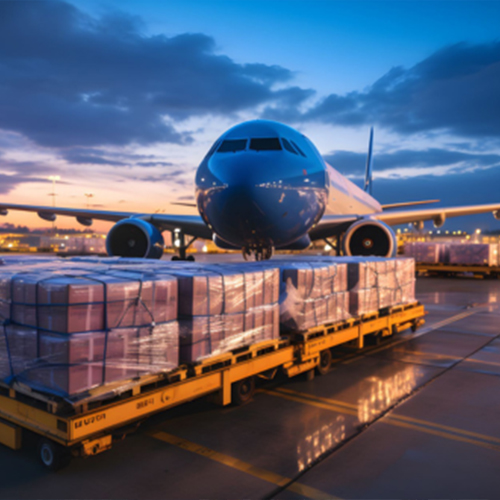 International Custom Cargo Brokerage Service