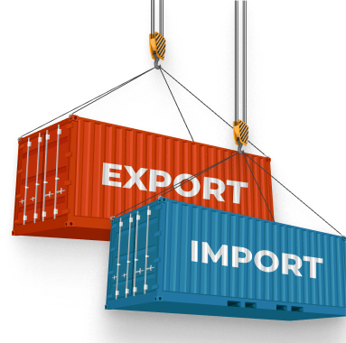 Best Import Customs Clearance Services Provider in Delhi